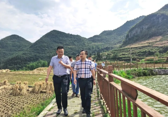 畢節(jié)工業(yè)職業(yè)技術學院黨委書記李涌、院長邱國援率隊到鄉(xiāng)村振興駐村聯(lián)系工作點調(diào)研